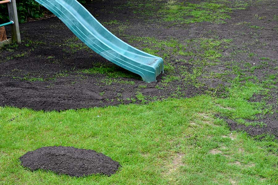 Level and aerate lawns to improve garden drainage